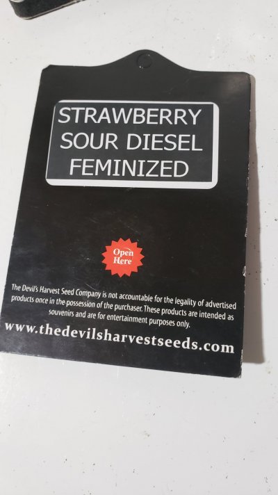 20210612_143145.jpg