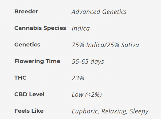 First Time Grow, looking to do it right.