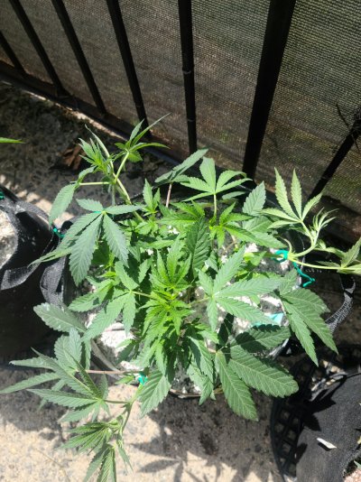 20210618_143120.jpg
