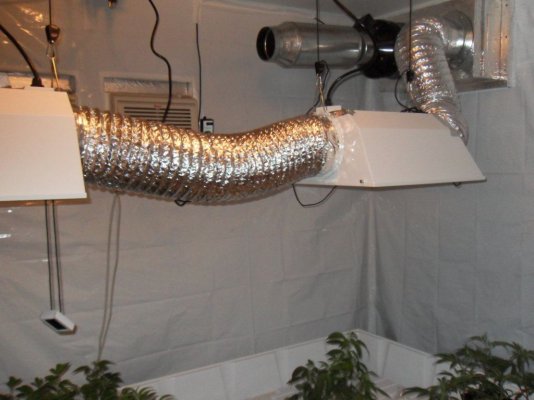 intake with radiant hood.JPG