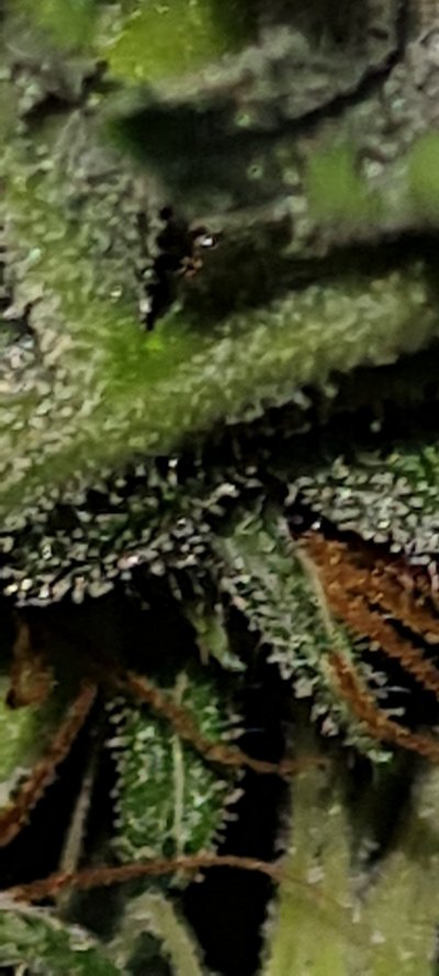 20210622_115447.jpg