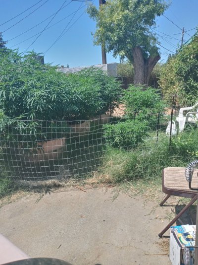 outdoor-june-29th-north-cali-4.jpg