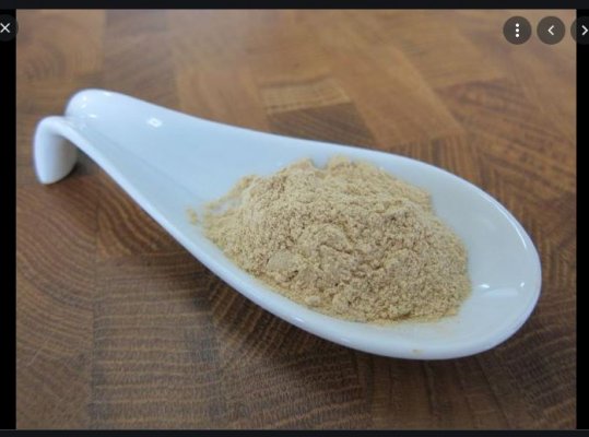 saponin powder.JPG
