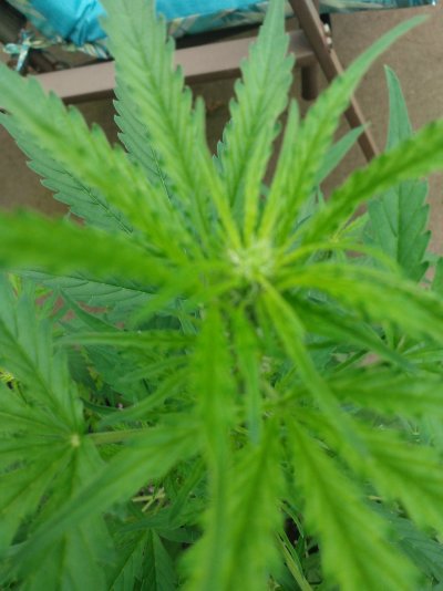 Hello! Lost my virginity, growing great!