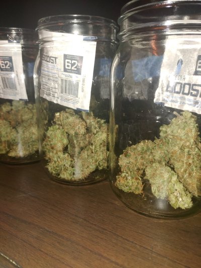 My 1st Harvest- 173grams Black Mamba