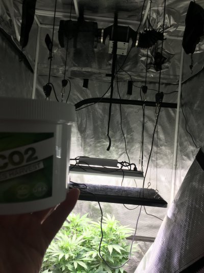 Proper Bucket CO2 use in grow tent