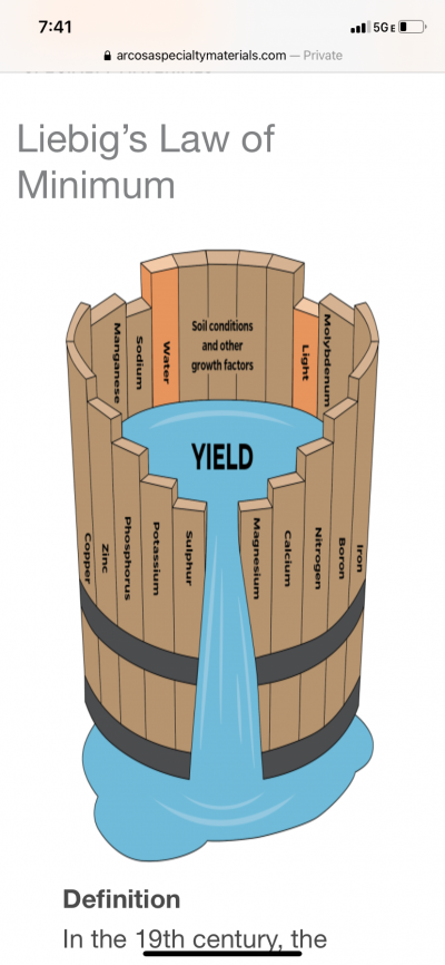 31A0ACD9-F476-43E5-B917-E85630A8EAC5.png