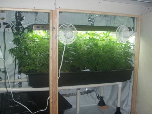 growdec2 076.jpg