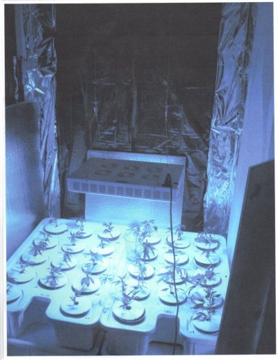 img007.jpg