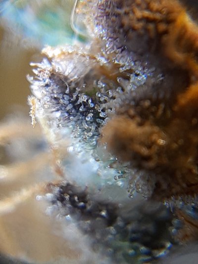 2021-07-21_18-07-50.jpg