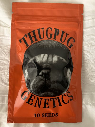 Ruby Red - Thugpug