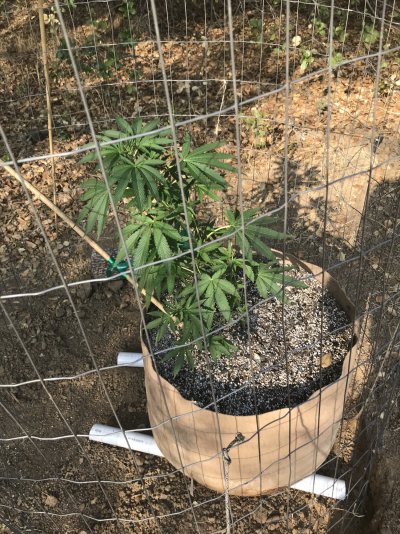 havent-failed-till-you-quit-trying.jpeg