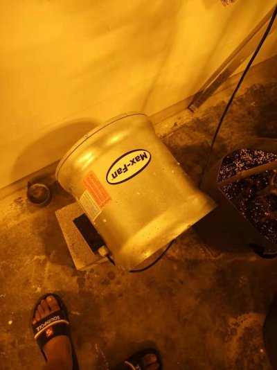should I turn off the vent in grow room while the co2 tank is on?