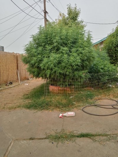 20210806_075353_HDR.jpg