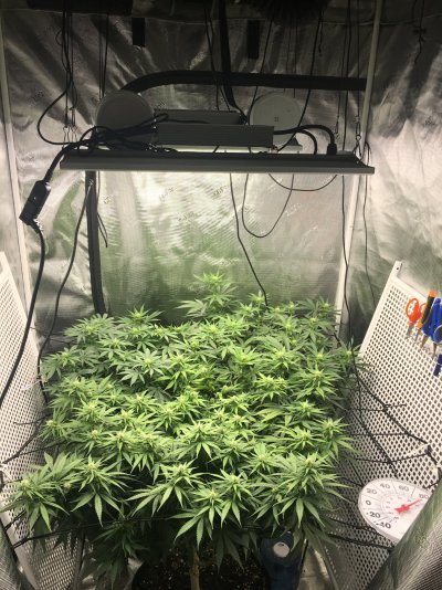 I’m looking for some lighting advice