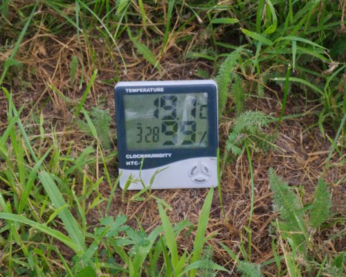 Anyone use Outside greenhouse like this?