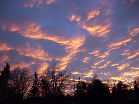 100_0071.JPG