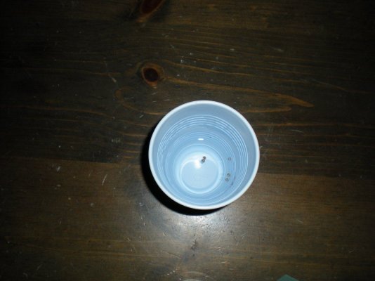 hp13-x-wraith-test-grow-2.jpg