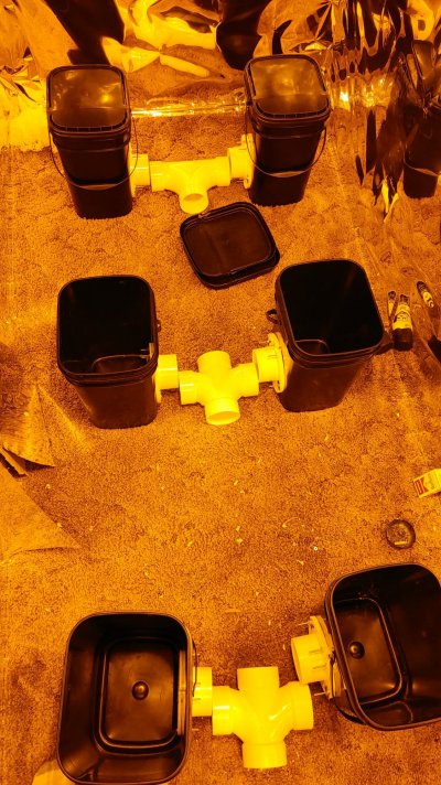 20210826_153222.jpg