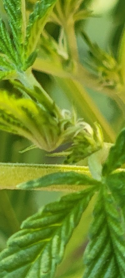 New farmer/  Questions!?