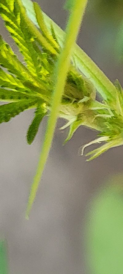 New farmer/  Questions!?