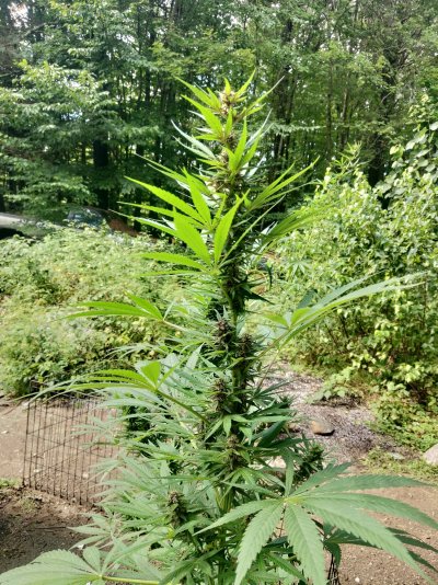 IMG_20210824_113606.jpg