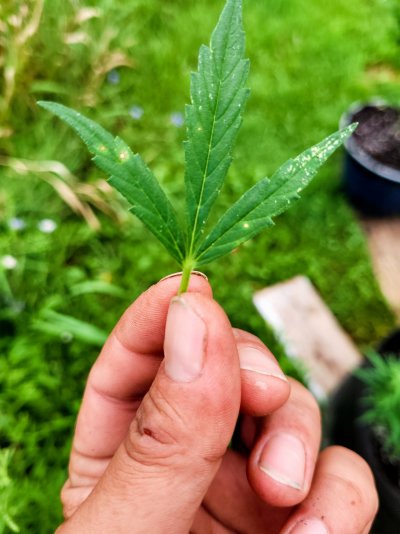20210829_172736_01.jpg