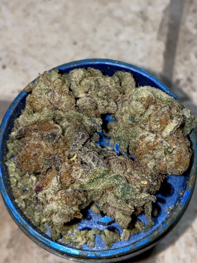Growrx grow diary “ 2021 5x5 RDWC "