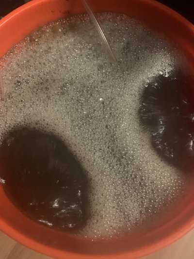 Can I dip my pots in water to water plants?