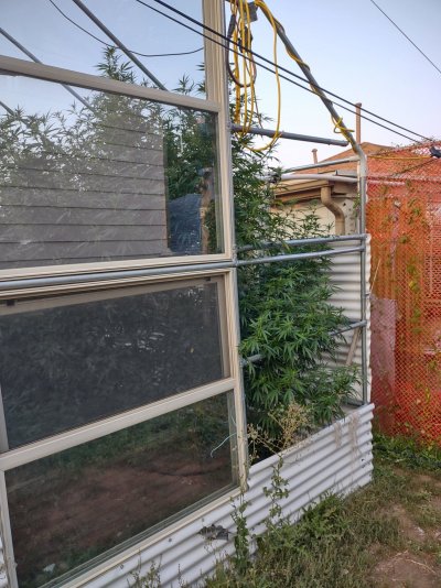 IMG_20210907_184112749_HDR.jpg