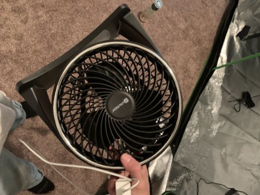 need-help-with-8x4-grow-tent-setup-4.jpeg