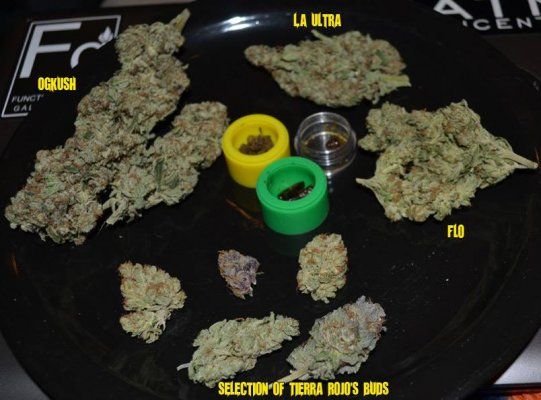 BudSelection_08-19-13.jpg