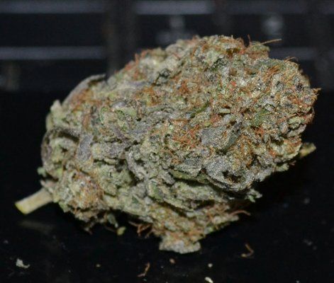 LavJonez2_04-26-14.jpg