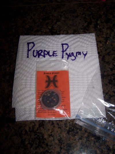 pisces---purple-pygmy.jpg