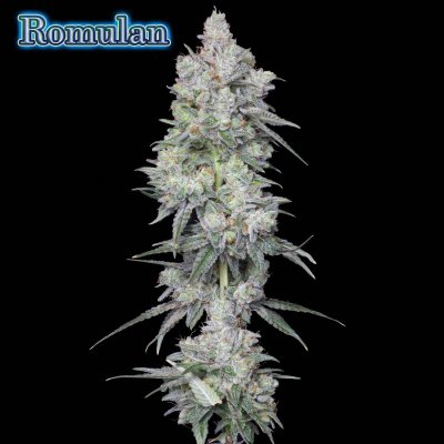 Romulan Genetics - Jake's Breeders Lab