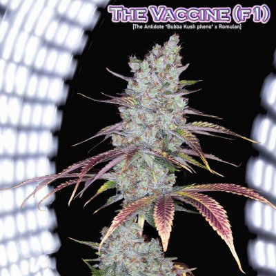 Romulan Genetics - Veteran Owned, Small Batch