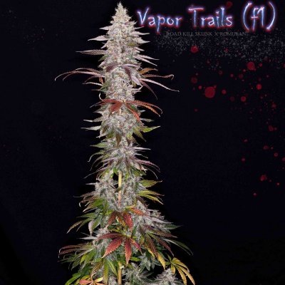 Romulan Genetics - Veteran Owned, Small Batch