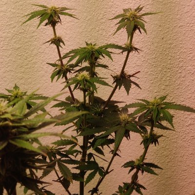 New and need all the help i can get!!!