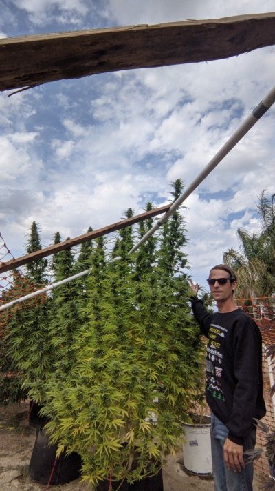 Let's see your 2021 Outdoor Plants!