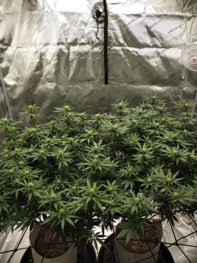 New guy here