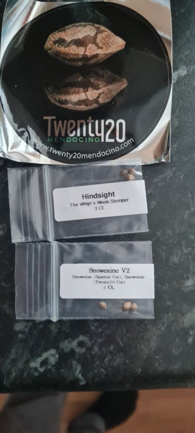 My next grow 20twenty mendocino
