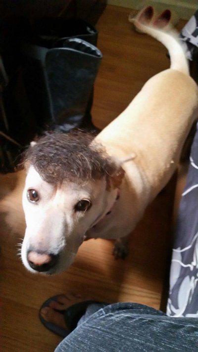 20161030_122109.jpg