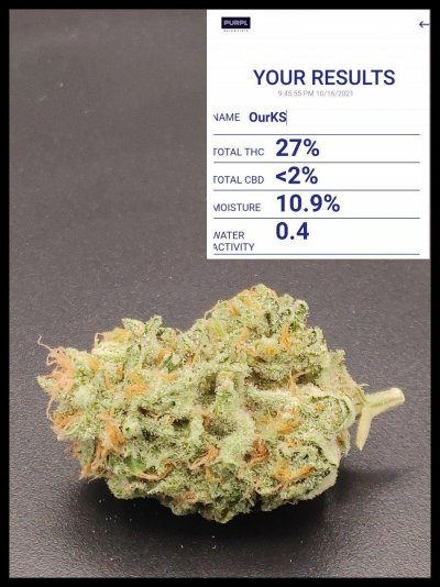 Clones - Quality First Every Time