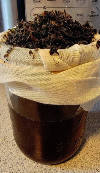 Schwer's First Grow Evah! Planning, Prep and Grow