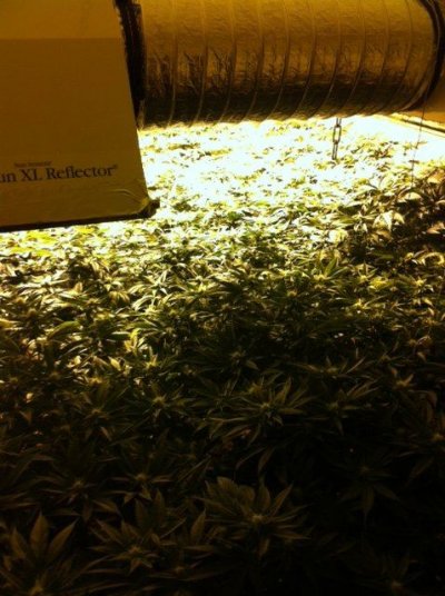 photo-1.JPG