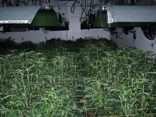 Jack's Under Current show 40 x 1000 watts Hortizontal 20 x 1000 vertical