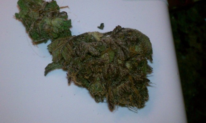 Black crack?