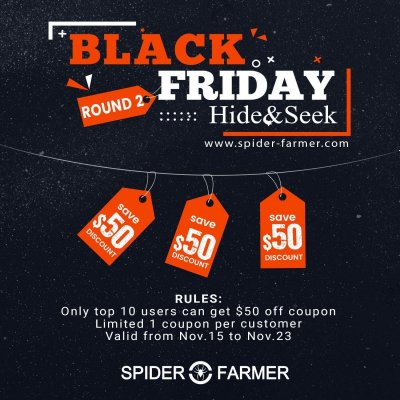 Banner-code.jpg