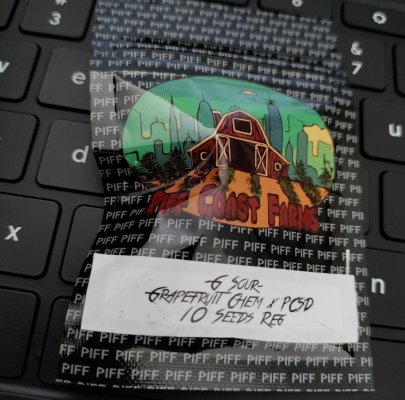 G.jpg