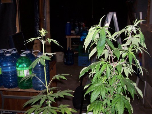 100_6372.JPG